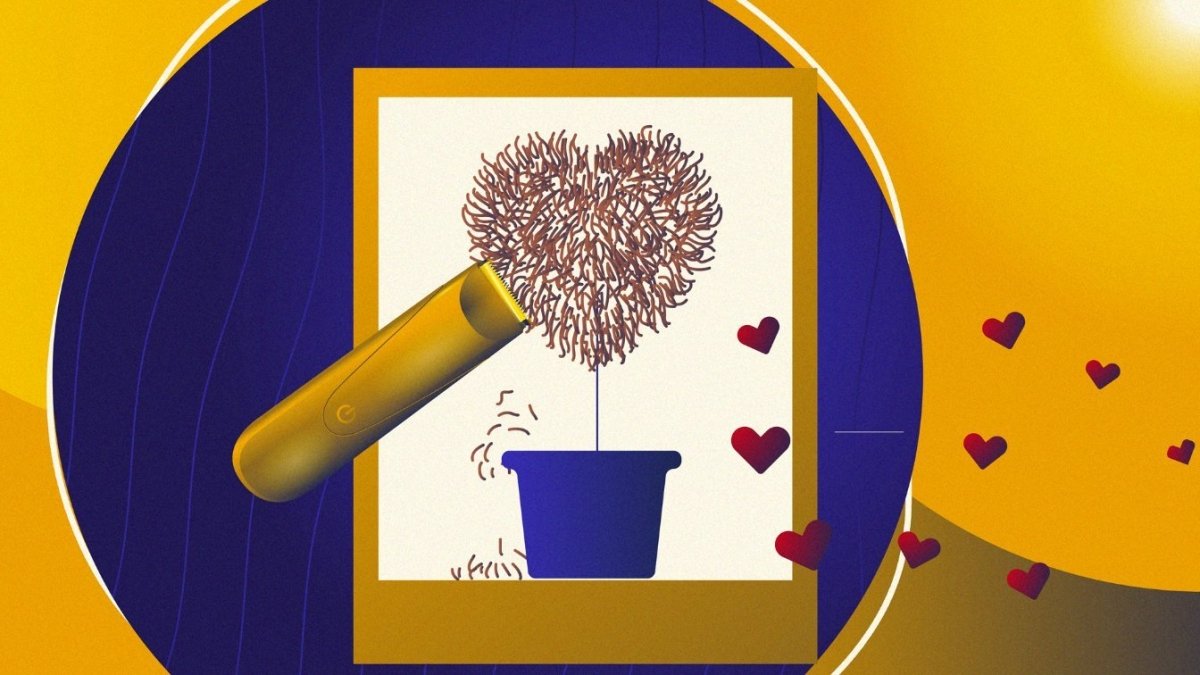 Waarom 93% van de vrouwen het fijn vindt dat de man zijn of haar schaamhaar bijhoudt. | BALZY