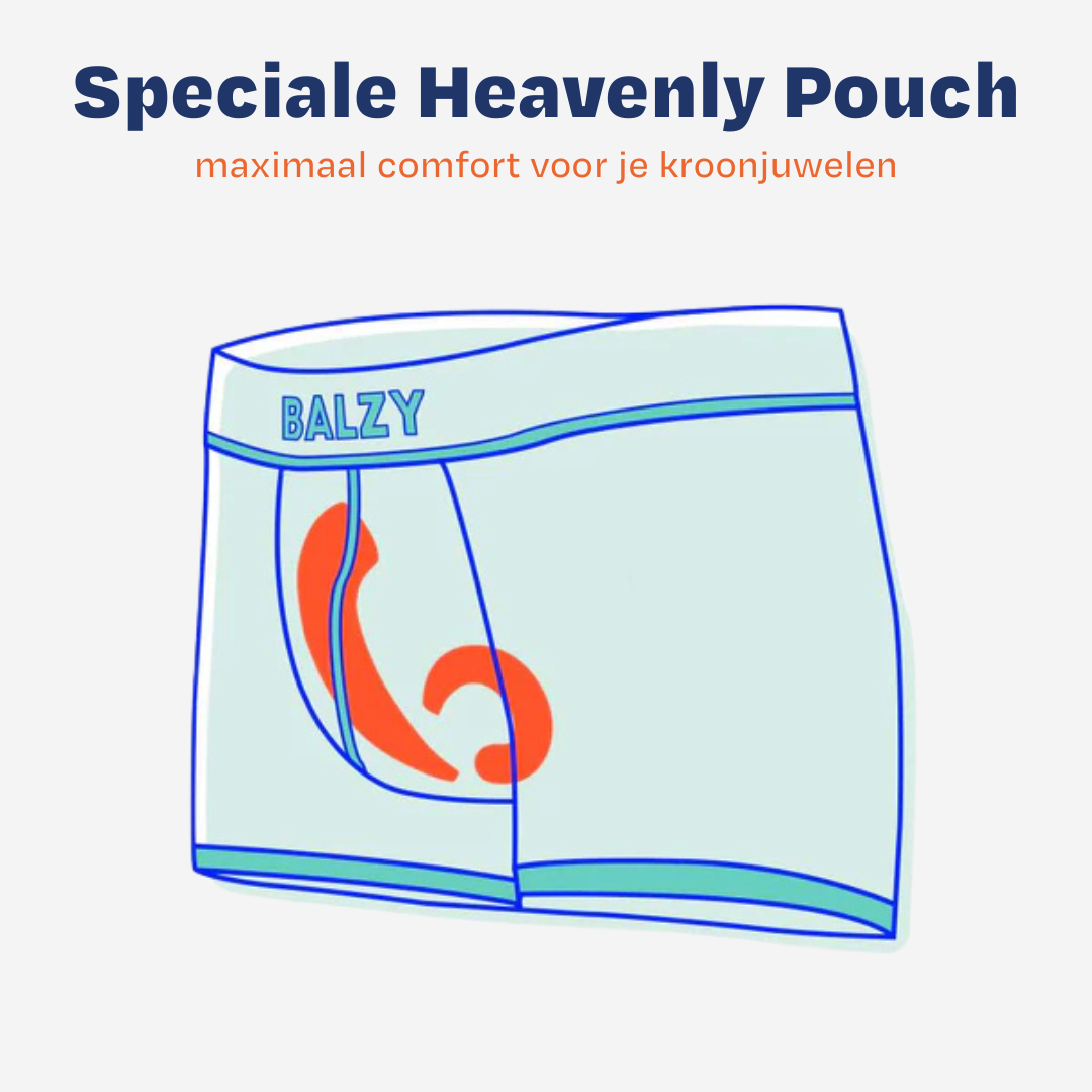 BALZY Boxers